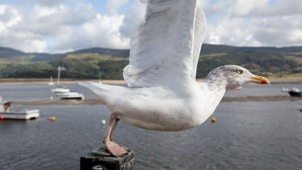 Barmouth