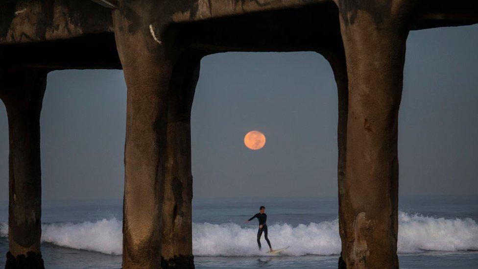 Surfer below a glowing moon, seen in between the posts of Manhattan pier