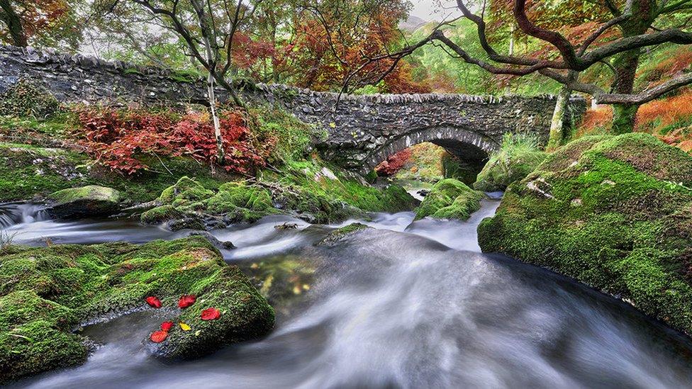 This view of Afon Gwyrfai at Betws Garmon, Gwynedd, was captured by Iwan Williams from Llanrug.