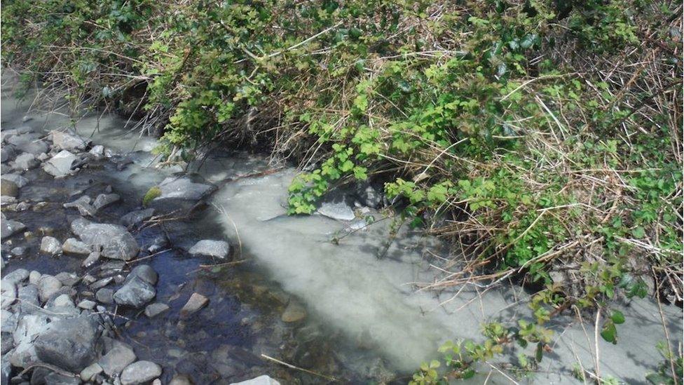 the Afon Drywi in Llwyncelyn, near Aberaeron