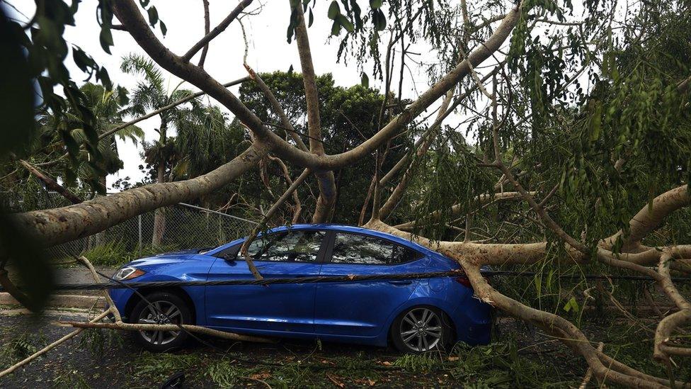 A vehicle is crushed under the weight of a fallen tree in the aftermath of Hurricane Irma in San Juan, Puerto Rico, 7 September 2017