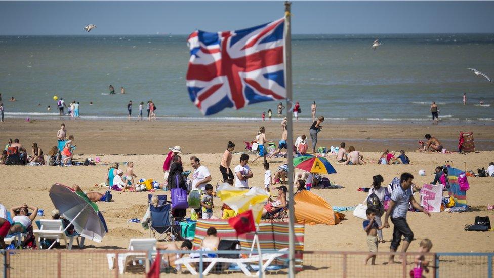 Flag flying in the front of the beach