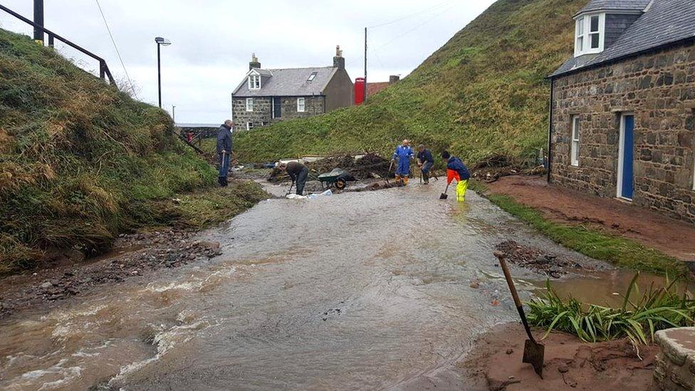 Crovie clean-up