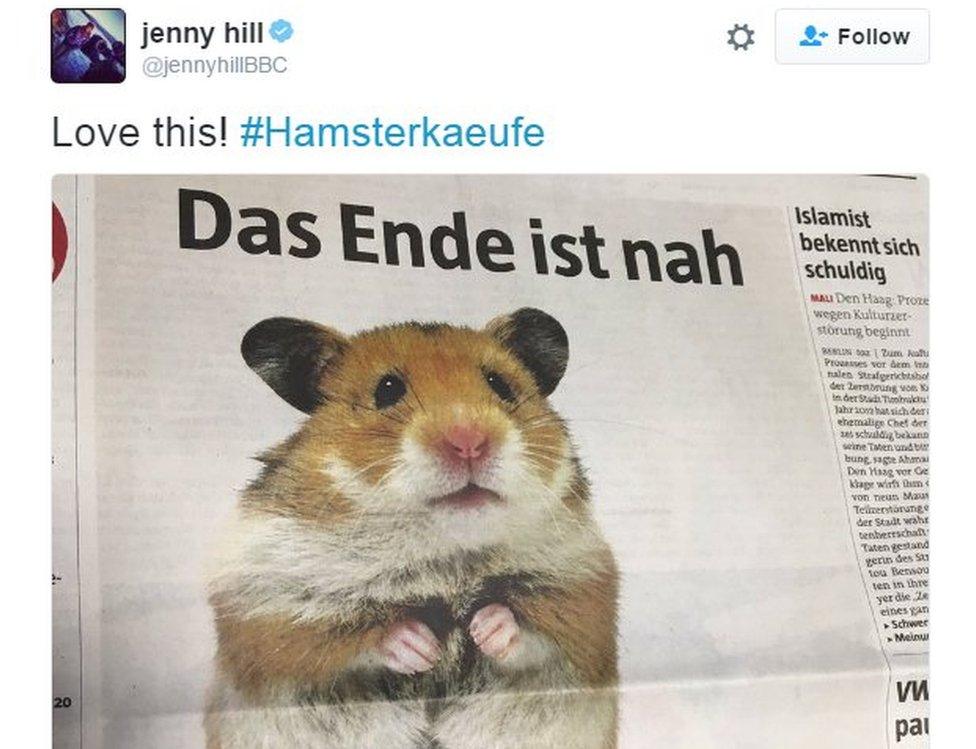 Tweet showing Die Tageszeitung hamster pic