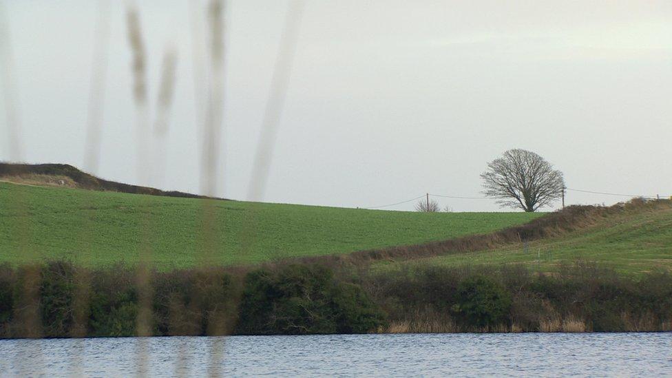 Site of a proposed woodland burial site