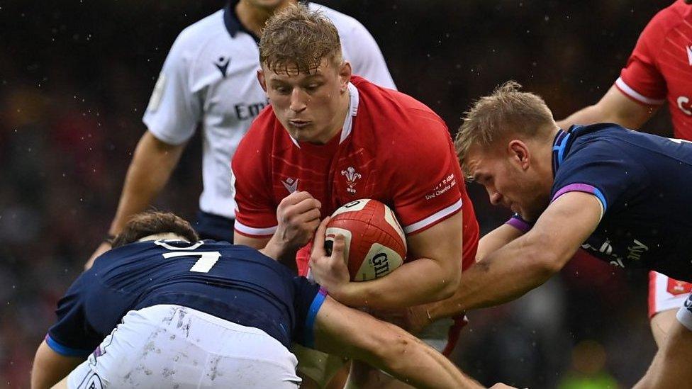 Wales flanker Jac Morgan in action against Scotland