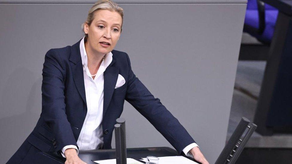 Alternative for Germany party (AfD) co-chairwoman Alice Weidel speaks at the German parliament 'Bundestag' in Berlin, Germany, 28 November 2023.