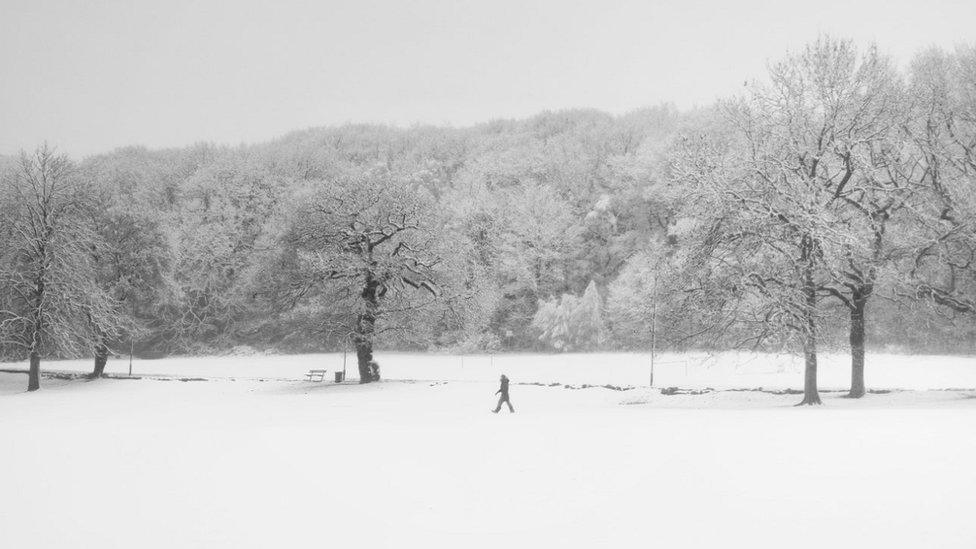 Walker in a snow-covered park