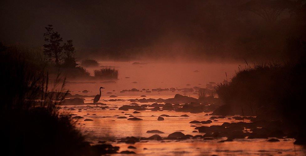 Silhouette photo of a landscape