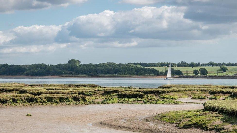 River Stour at Shotley