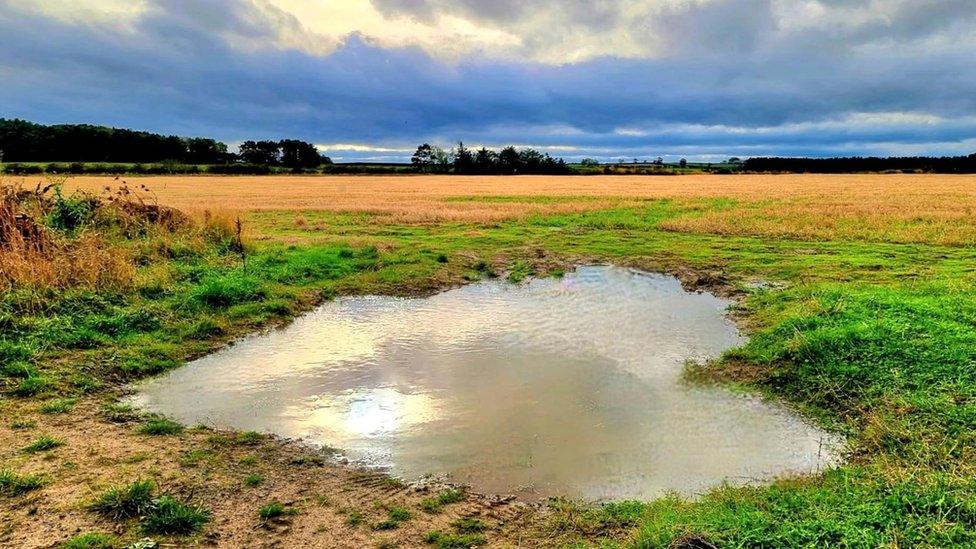 A heart-shaped pool in a colourful field in Dinnington, Newcastle Upon Tyne