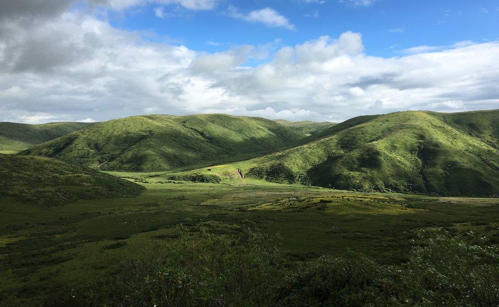 Wide shot of hills and valleys and plains covered in green grass