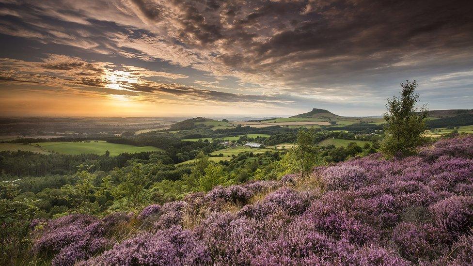 Roseberry Topping