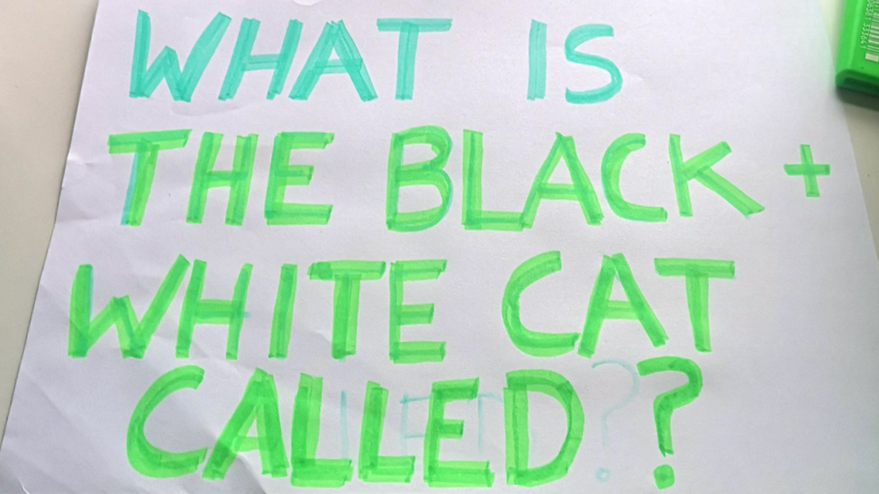 A sign saying "what is the black and white cat called?"