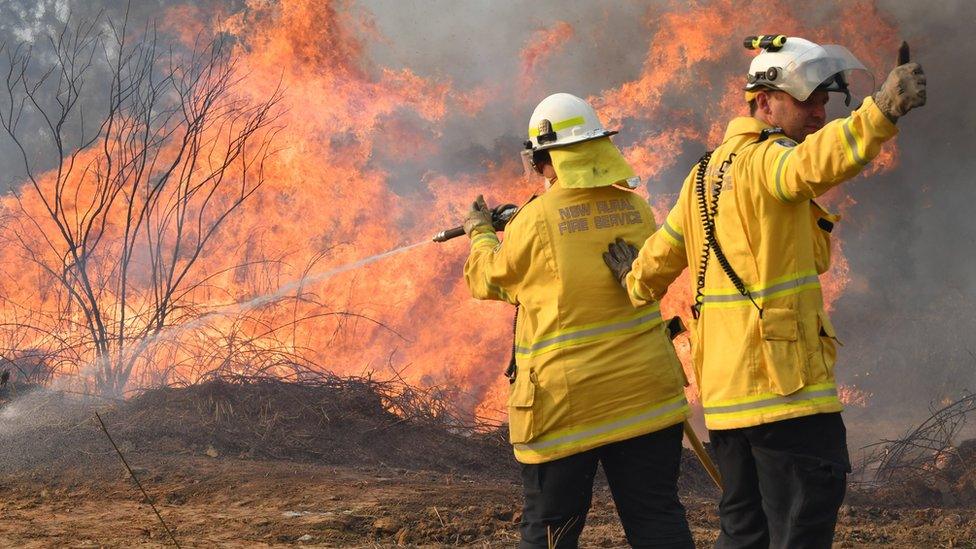 Firefighters battle a blaze near the town of Drake in New South Wales