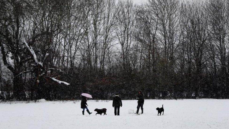 Dog walkers in the snow in Stanford on Avon