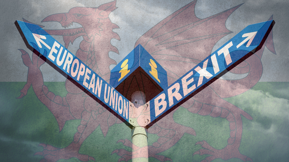 European Union and Brexit crossroads