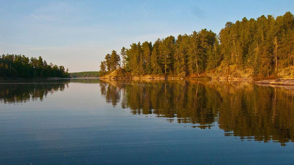 Canadian forests