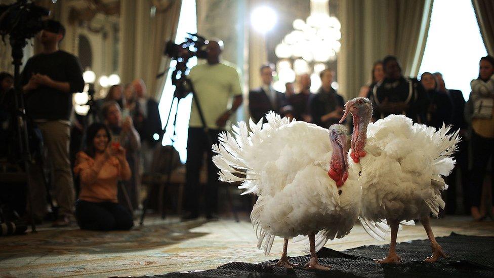 Wishbone and Drumstick stand before the press pack at the Willard InterContinental hotel in Washington