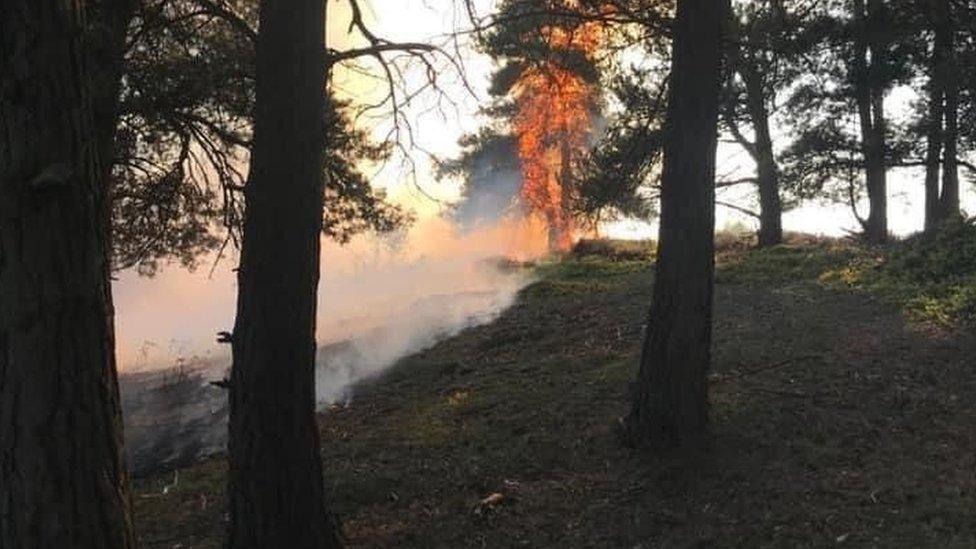 Cannock Chase fire