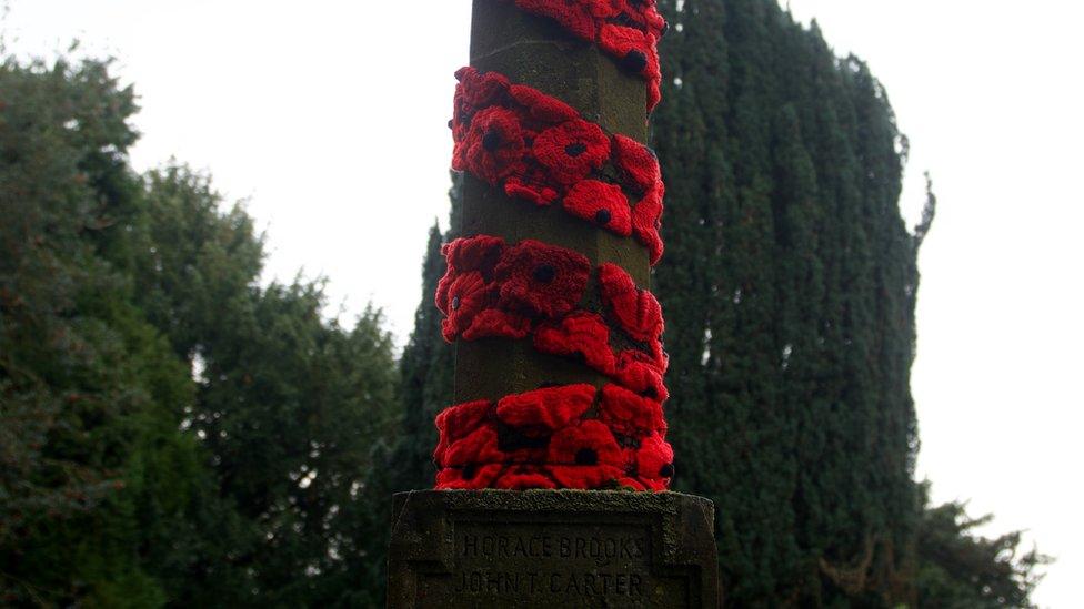 Wellesbourne poppies