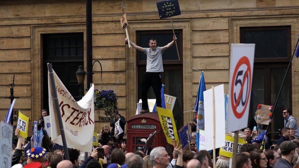 Protesters at the People's Vote march