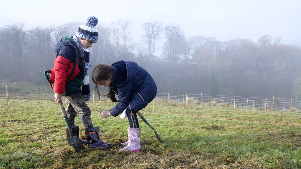 Children planting trees