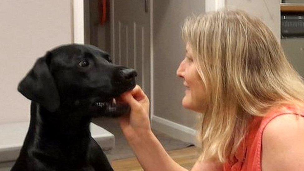 Denise Mariner-Chappell playing with her labrador Ted