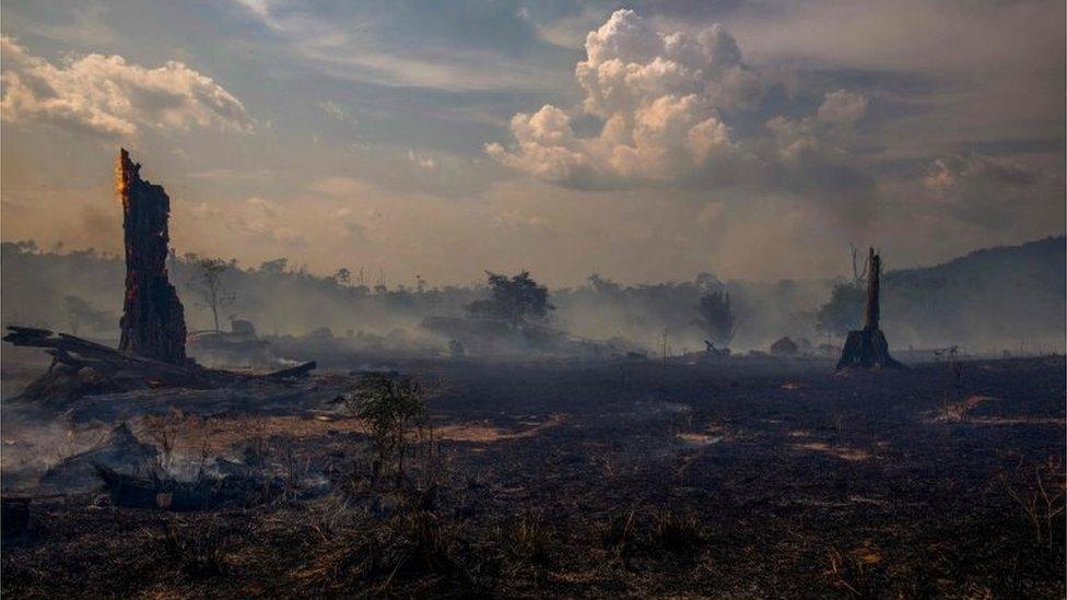 View of a burnt area of forest in Altamira, Para state, Brazil, on August 27, 2019. - Brazil will accept foreign aid to help fight fires in the Amazon rainforest on the condition the Latin American country controls the money, the president's spokesman said Tuesday.