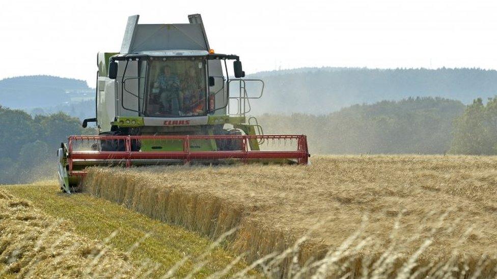 A combine harvester