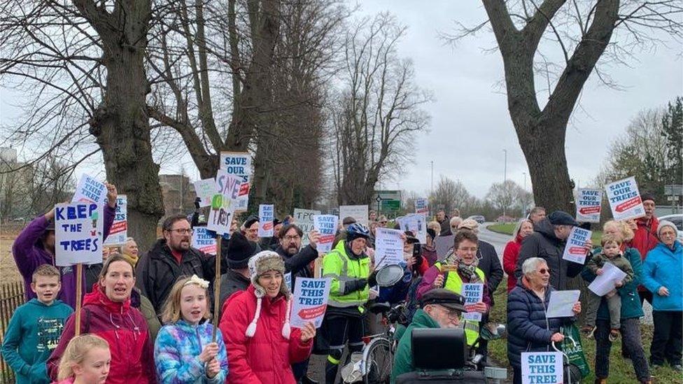 Adults and children with placards reading 'save our trees' on the tree lined walk