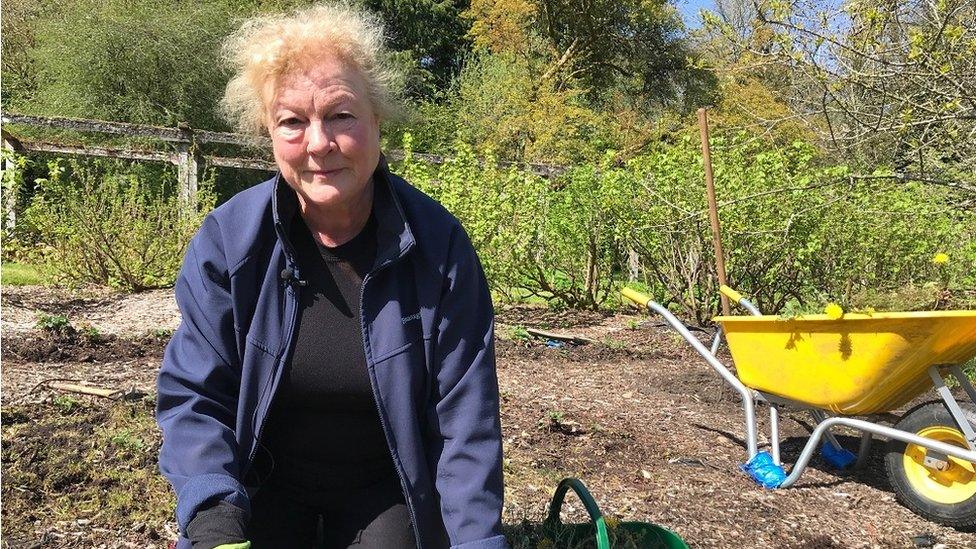 Dierdre McSorley, volunteer at Florence Court, planting in the garden