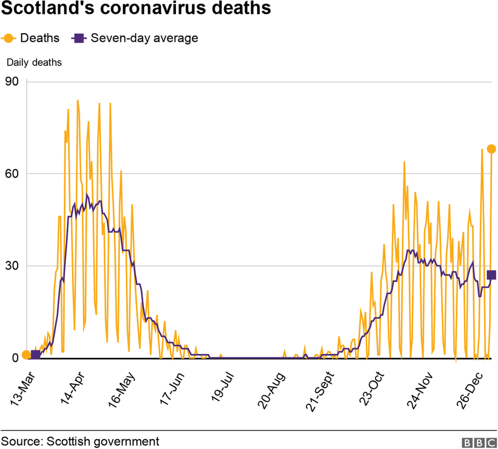 covid deaths