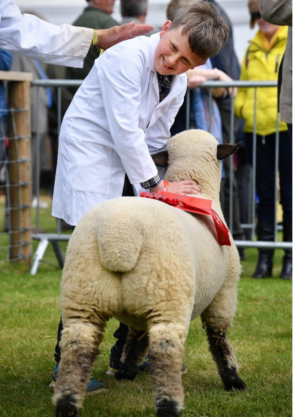 Young boy with big sheep