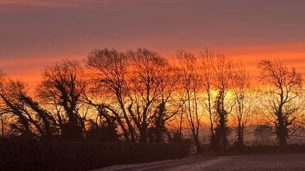 Sunrise above trees lining a field in Ewen