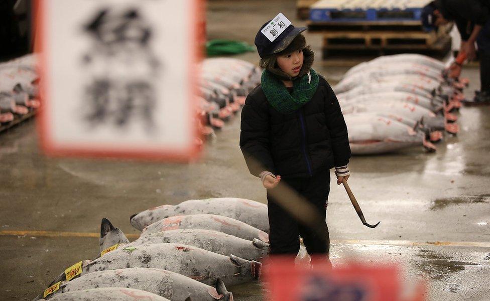 A child pretends to be a prospective buyer, inspecting the quality of frozen tuna before the first auction of the year