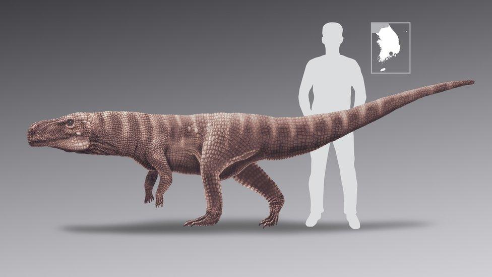 Dinosaur-compared-to-man.