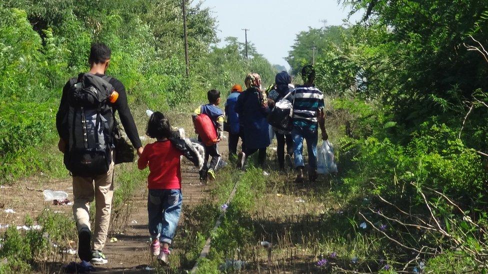 Migrants crossing from Horgos to Roszke, 24 August 2015