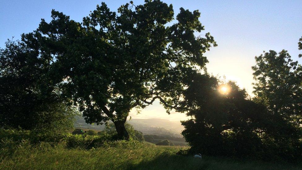 A sunrise over the fields in Caerphilly