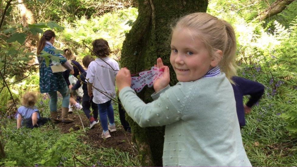 Disgybl Ysgol Llanychllwydog, Cwm Gwaun, yn gosod barddoniaeth Waldo ar frigau’r coed