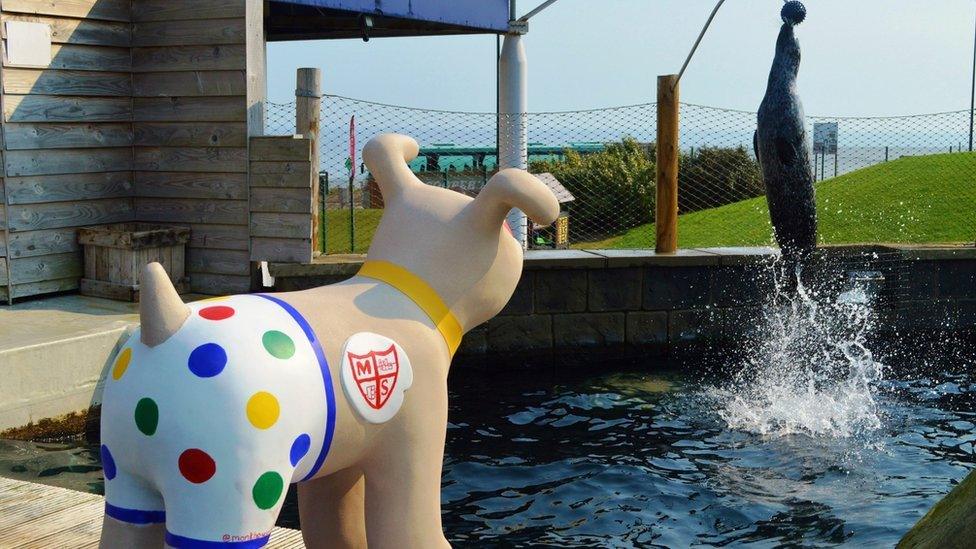 Great North Snowdog at Blue Reef Tynemouth Aquarium