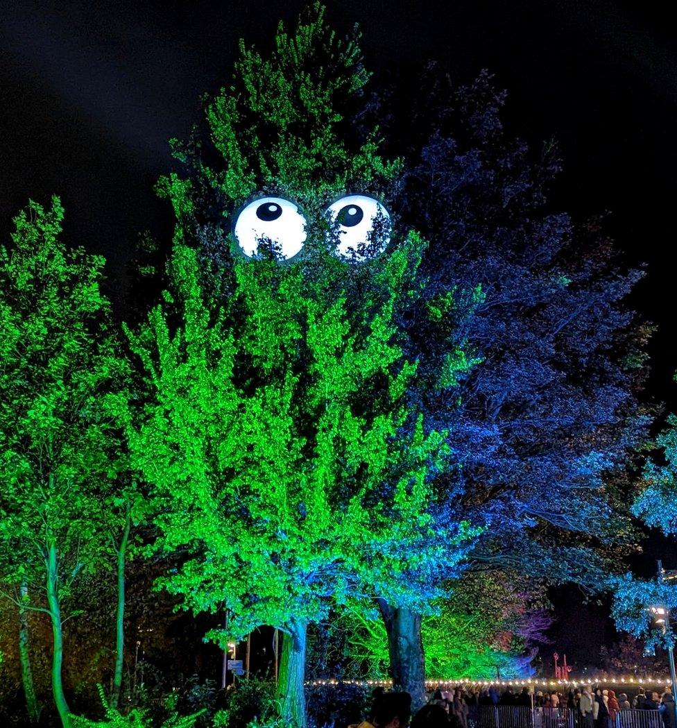 Tree has eyes