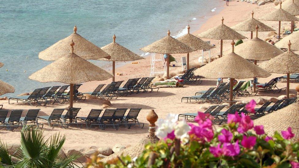 Beach with umbrellas with some flowers in the foreground