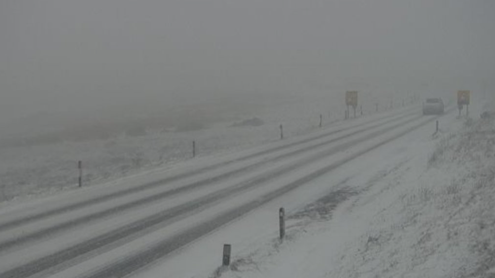 An image of the Cat and Fiddle