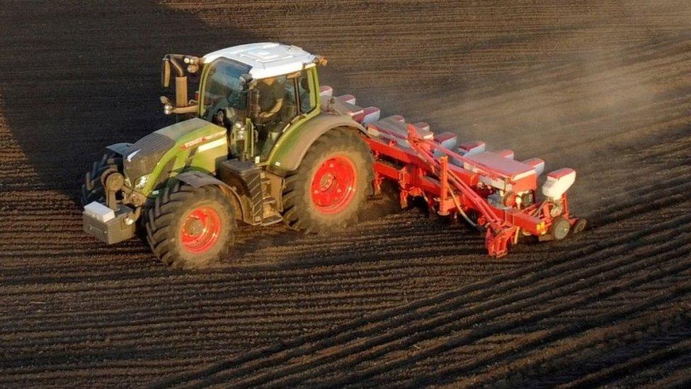 Tractor sowing seeds