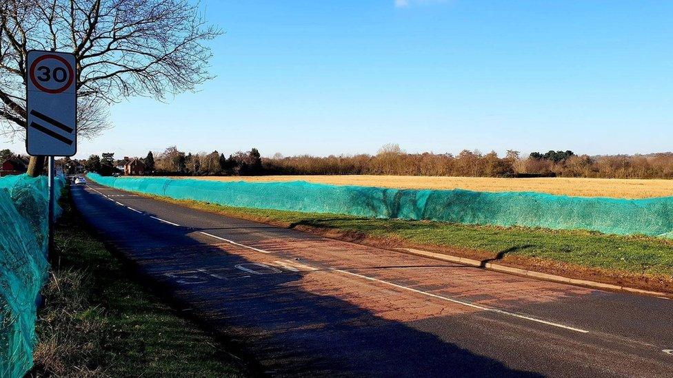 Netting on a hedgerow in Warwickshire