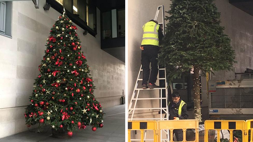 The tree as it was, left, and being removed, right