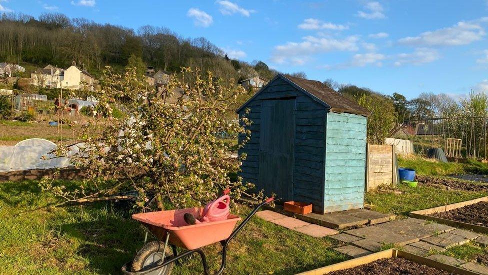 Starkholmes allotment