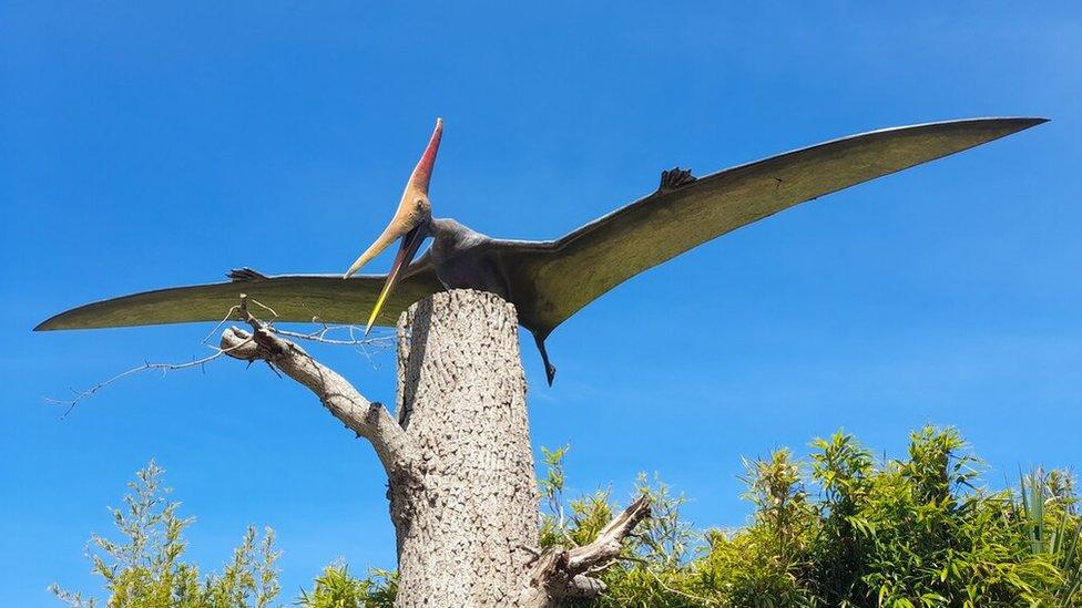 Pterodactyl at Roarr!