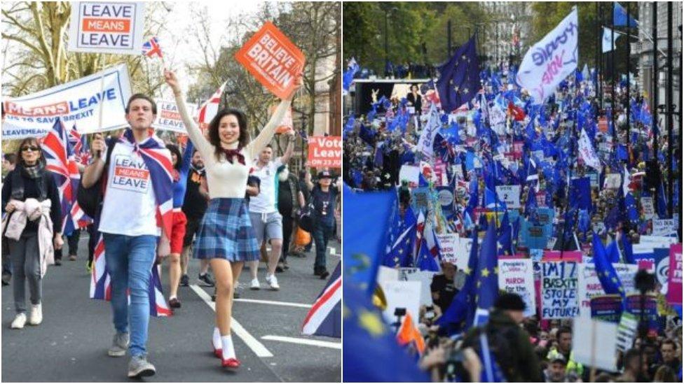 Leave and Remain protests